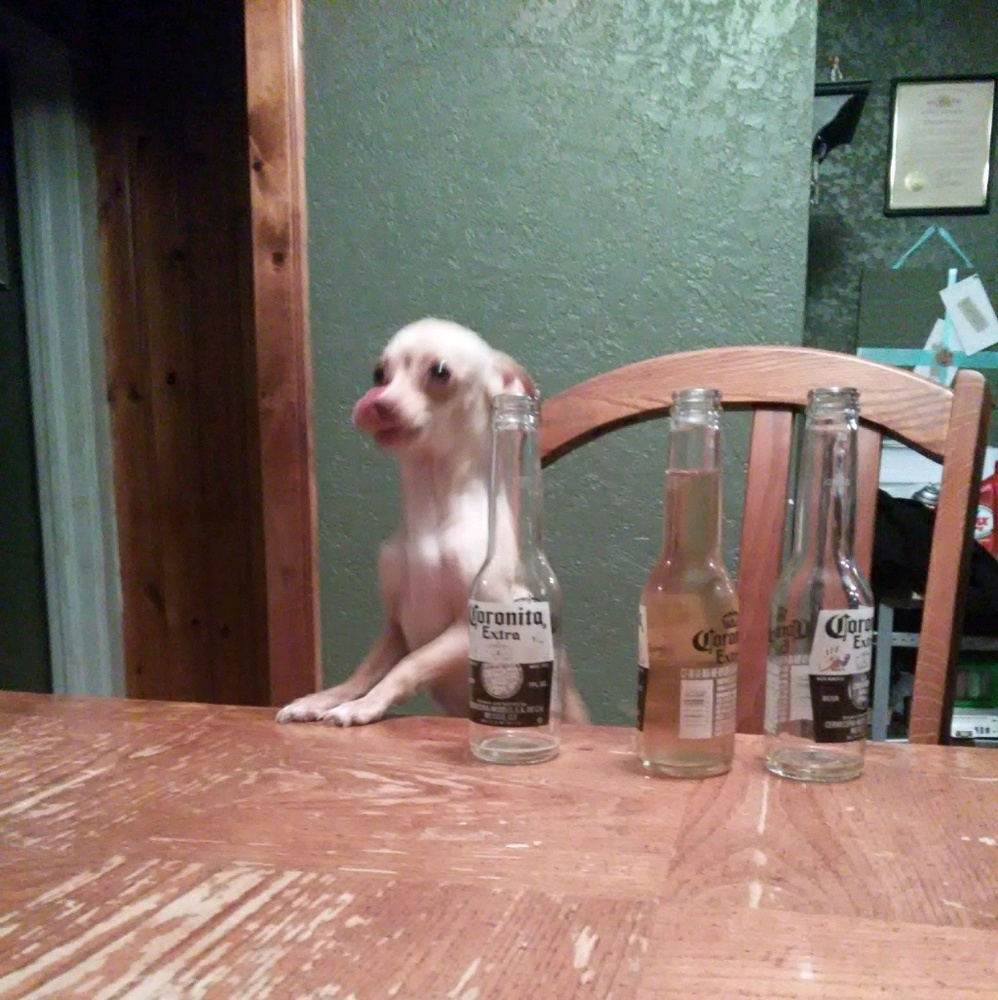 Meet your Posher, Ericka